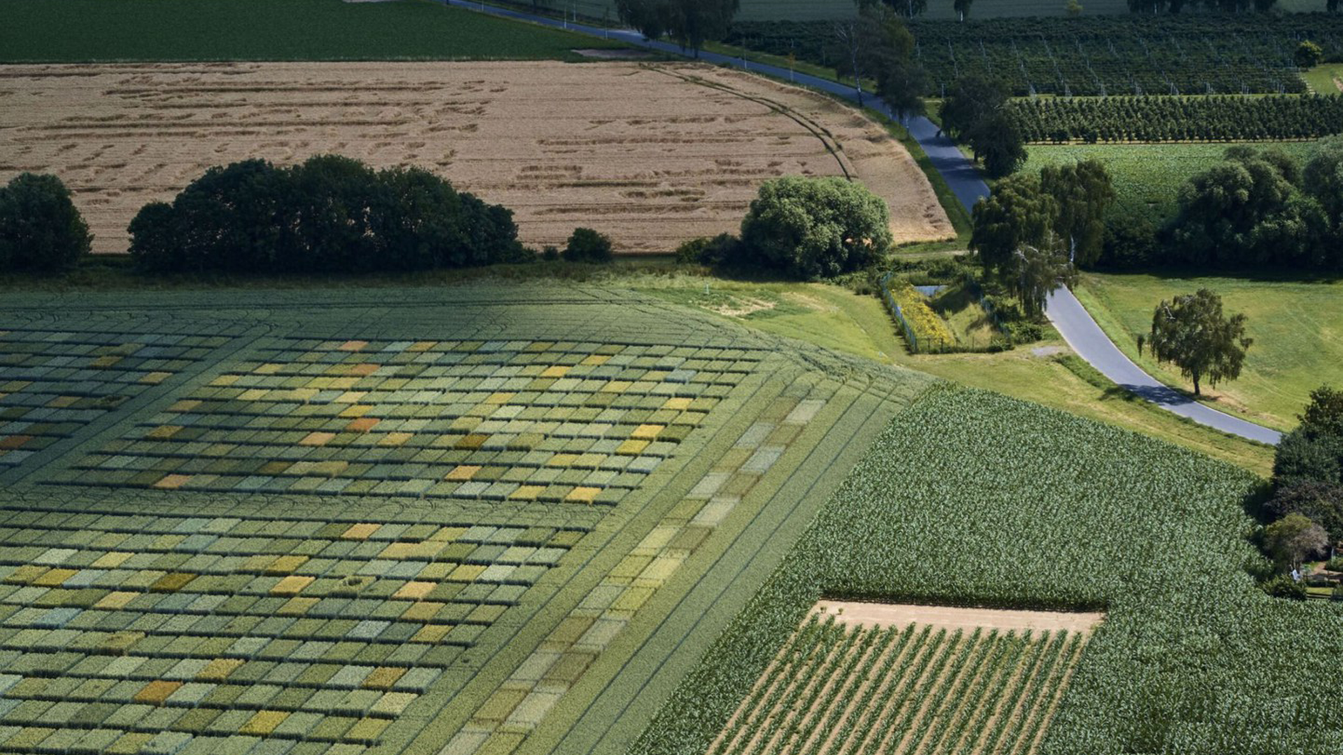 Landwirtschaftliche Anbaupraktiken