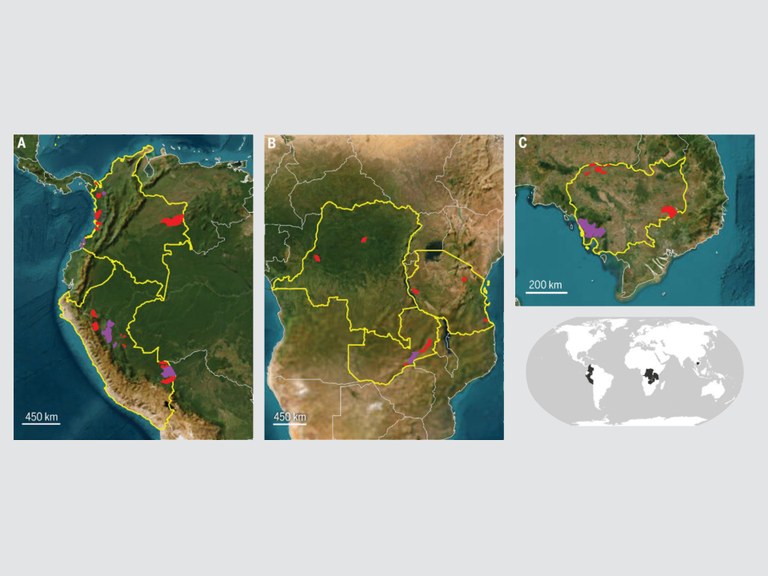 In die Studie einbezogene freiwillige REDD+-Projektstandorte