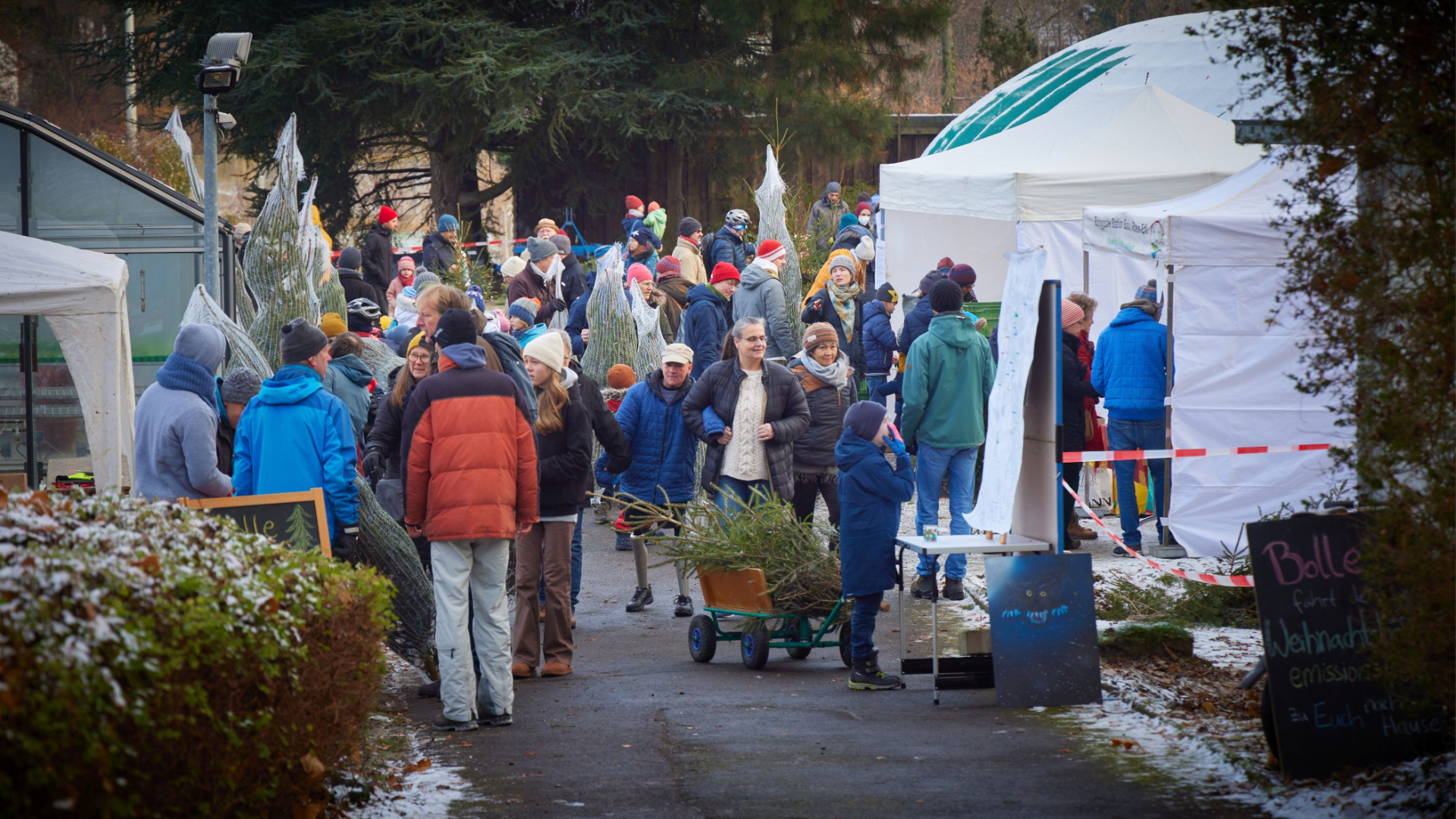 Weihnachtsbaumverkauf