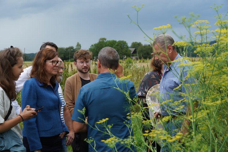 Biodiversität im Heil-und Gewürzpflanzenanbau