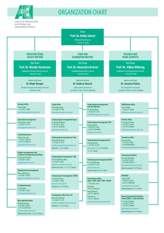 20250113_AEI_Organization-chart_Web_EN.pdf