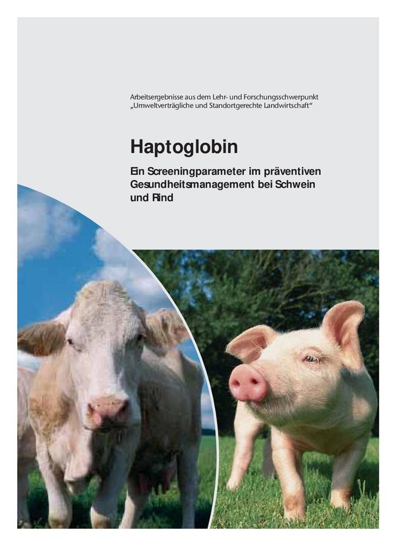 Beratungsinfo_Haptoglobin.pdf