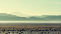 Steppe_lizenzfrei_cb_12562912_2600x1462.png