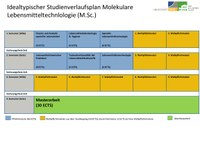 Studienverlaufsplan M.Sc. MLMT WS