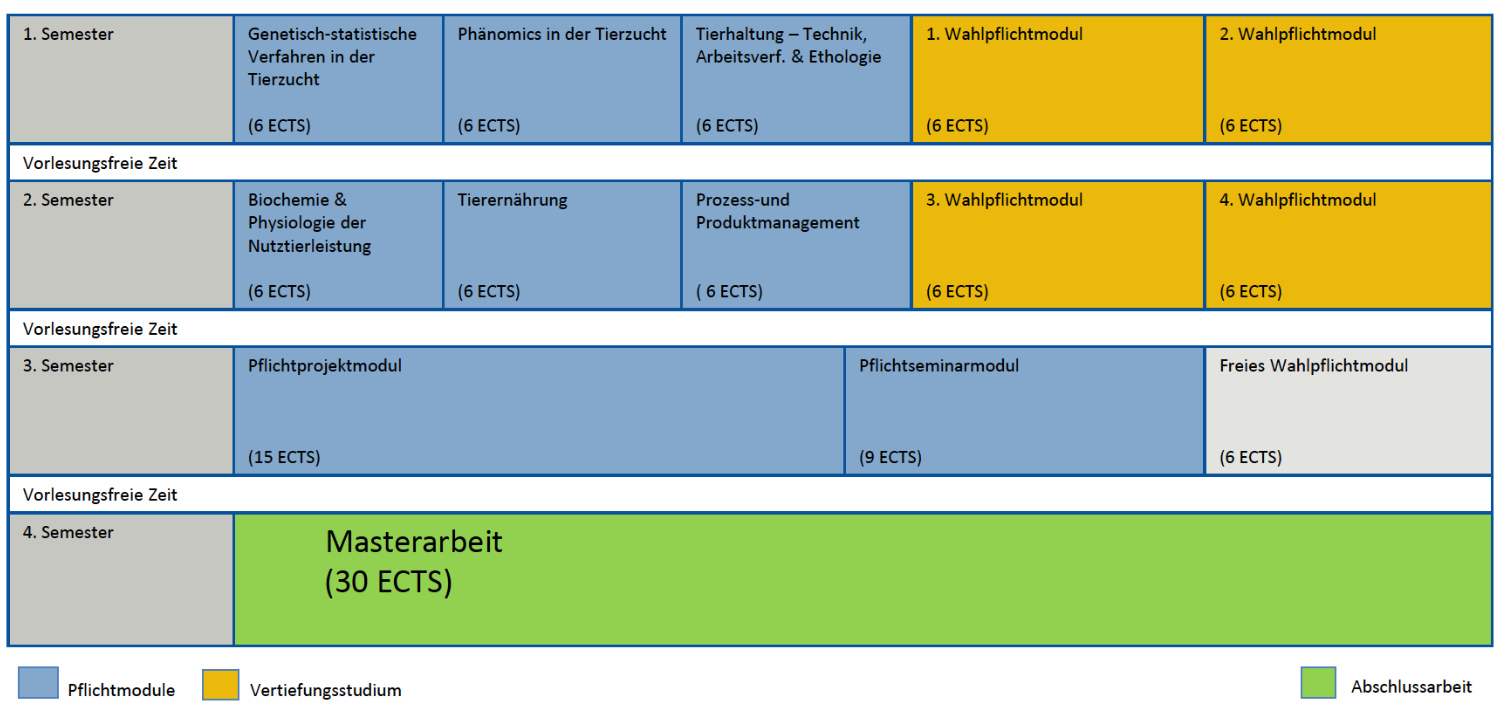 Studienverlaufsplan M.Sc. TW