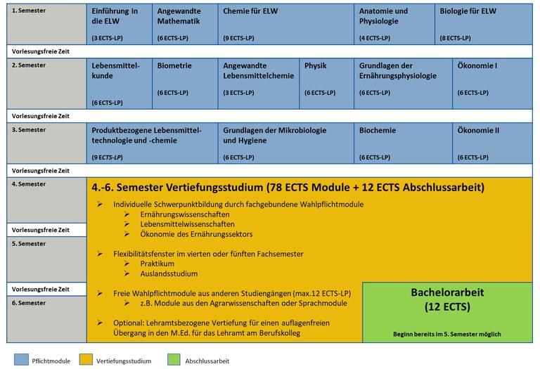 Studienverlaufsplan B.Sc. ELW